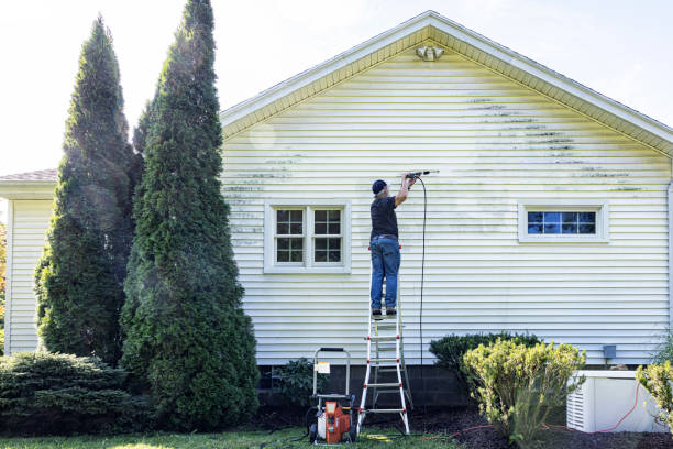 Best Roof Pressure Washing  in Bismarck, MO